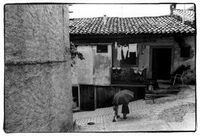 tn_topolo06